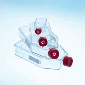  Greiner/格瑞纳滤盖细胞培养瓶