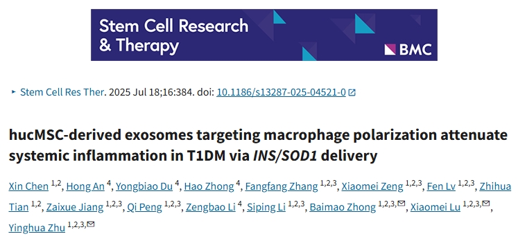 聚焦外泌体前沿：揭秘神奇“外泌体”靶向巨噬细胞极化机制，探索1型糖尿病外泌体疗法新路径！