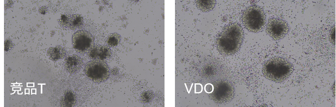 CD3/CD28激活磁珠在研发细胞治疗产品中的应用