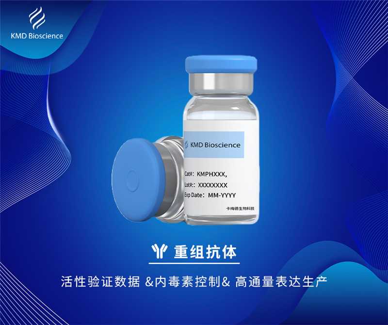 科研级Tiragolumab(替瑞利尤单抗) Anti-TIGIT重组抗体 TIGIT参照抗体