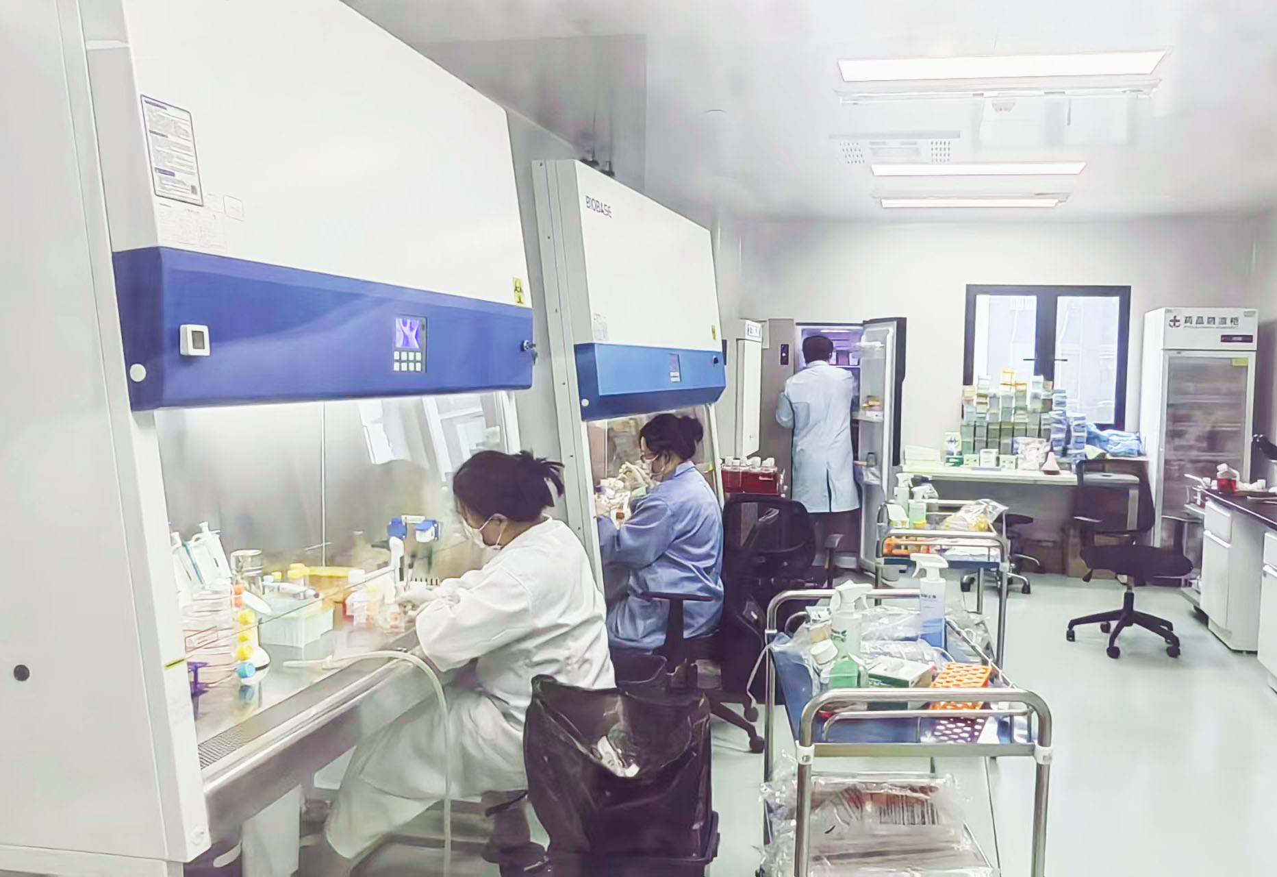 1750990260929079212.jpg 1750990260929079212.jpg