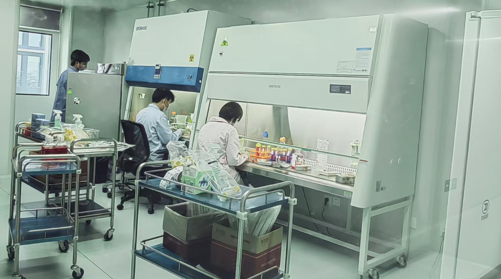 1750990172017063726.jpg 1750990172017063726.jpg