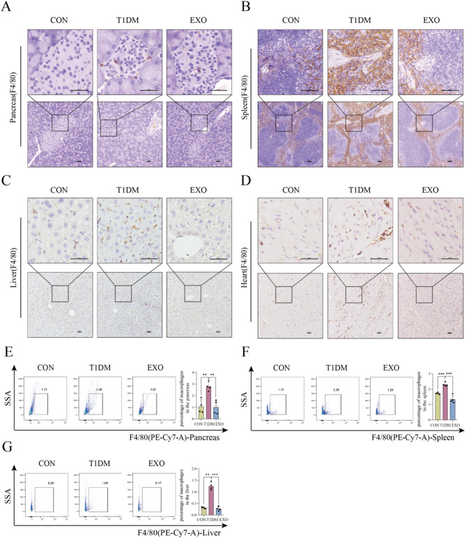 流式细胞术 流式细胞术