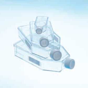  标准盖悬浮细胞培养瓶