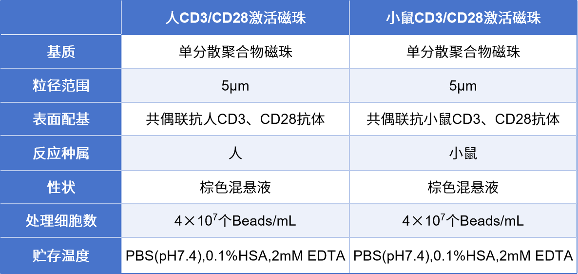 CD3/CD28激活磁珠在研发细胞治疗产品中的应用