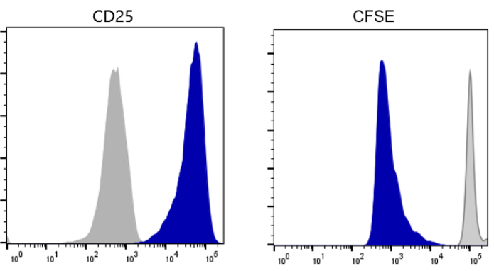 CD3/CD28激活磁珠在研发细胞治疗产品中的应用