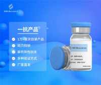 Rabbit Anti-Human CFAP69 pAb