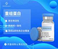 Recombinant Human BAFF/TNFSF13B Protein, Fc His Tag