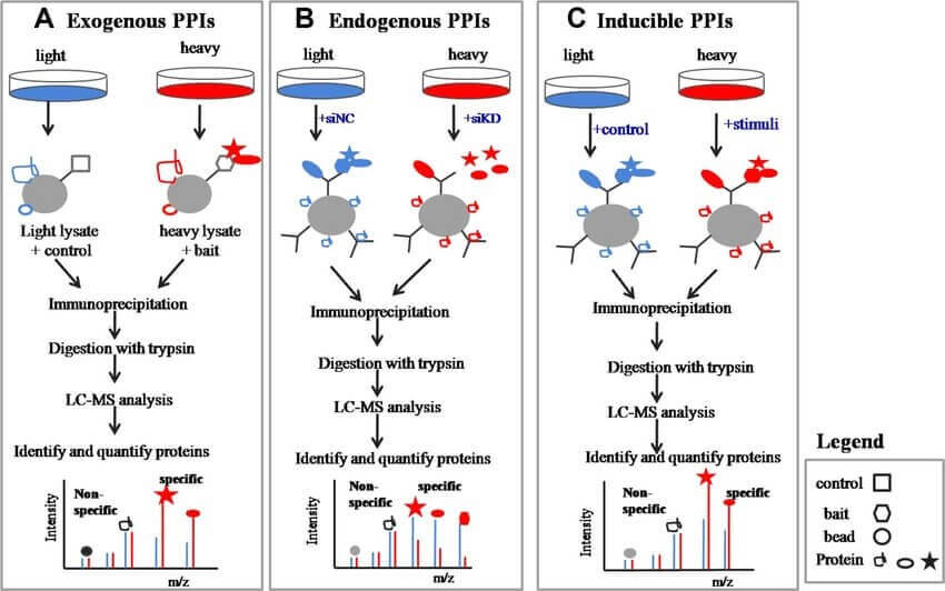 百泰派克蛋白质相互作用分析
