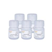 乳酸脱氢酶(LDH)细胞毒性检测试剂盒