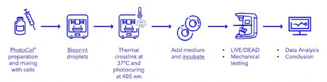 BIO ONE 光固化黑科技完整实测公开——10 秒把“软胶原”变“硬组织”