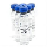 RTiterFast佐剂（兔用快速佐剂）