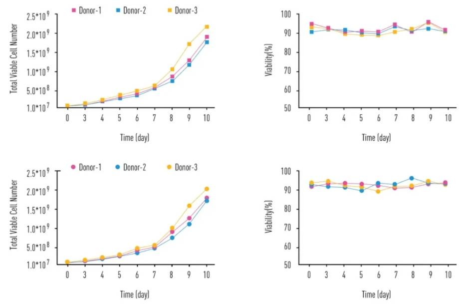 INNOVESSEL透气型悬浮细胞培养瓶 