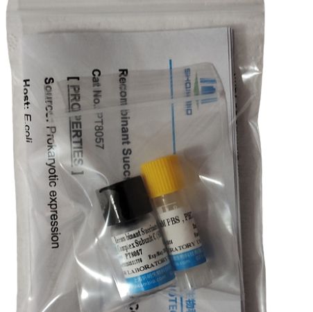 Salusin肽β(SALb)卵白蛋白偶联物,大鼠