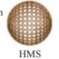 负载碳量子点的中空介孔二氧化硅纳米颗粒 CQDs@MSNs