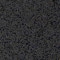 浙江（杭州）美森 小鼠T淋巴瘤细胞 E.G7-OVA