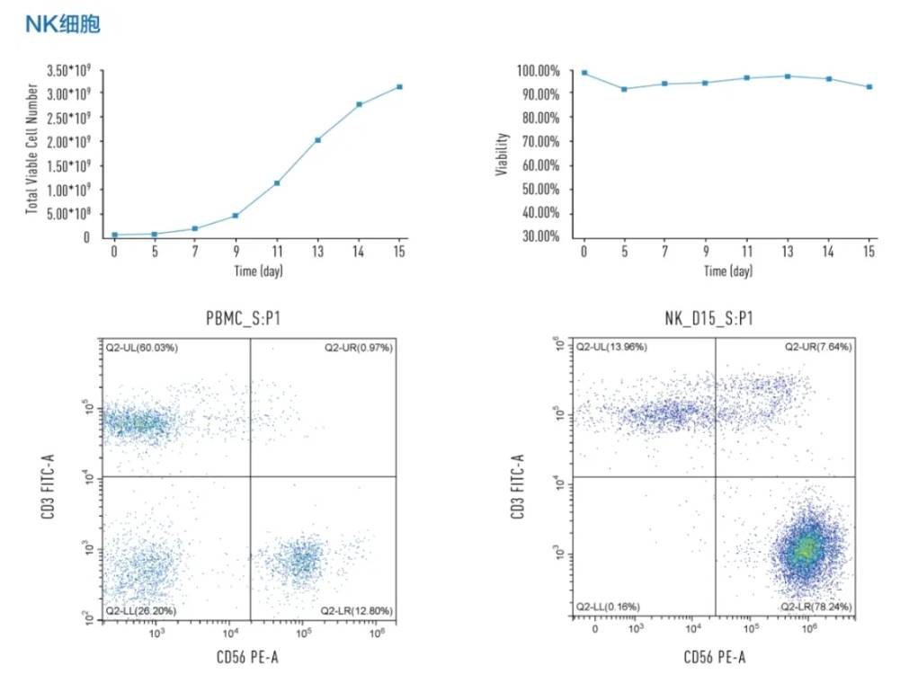 INNOVESSEL透气型悬浮细胞培养瓶 