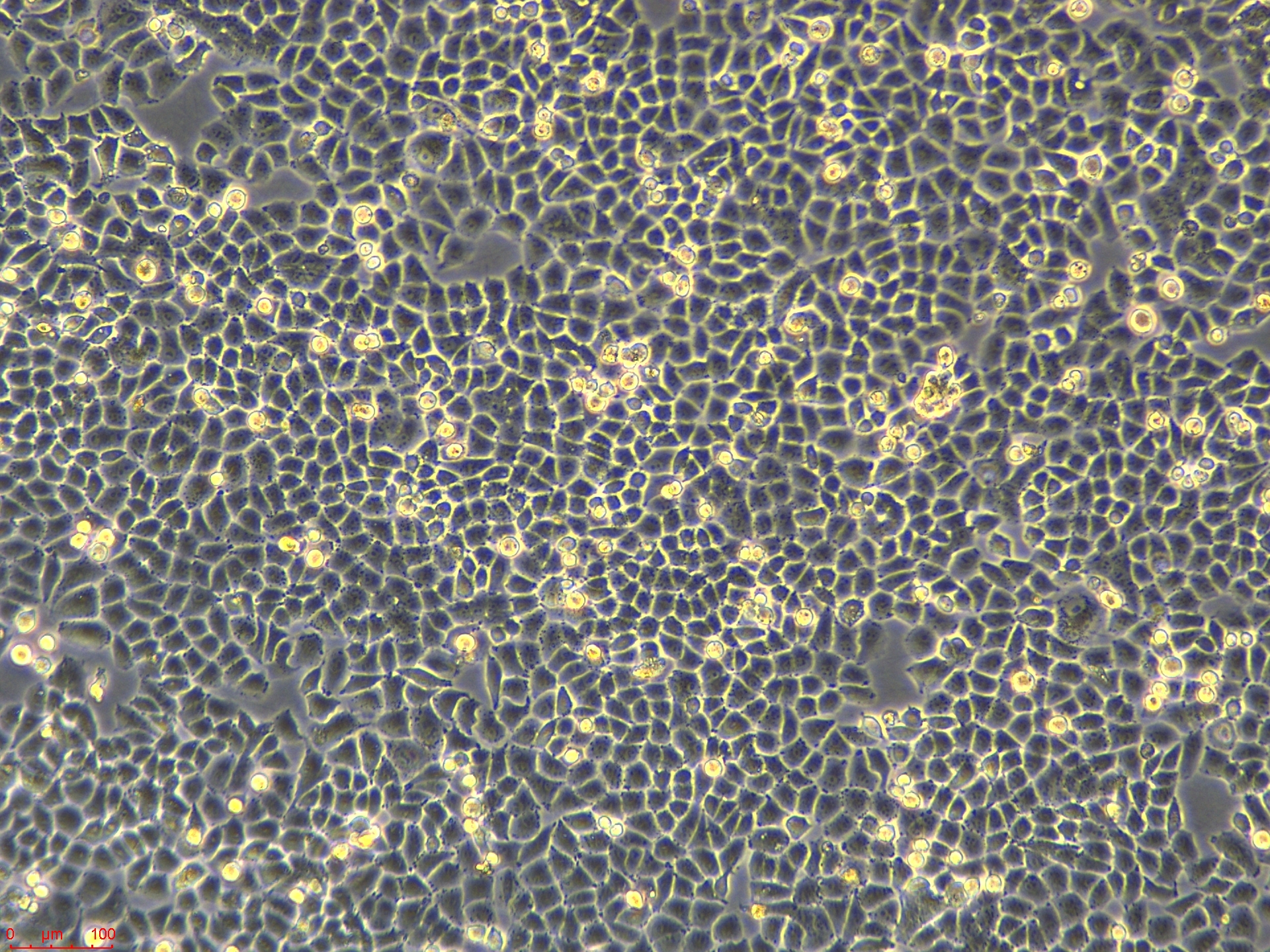 Project_IOSE-80_ch00 (2).jpg