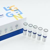 CRISPR文库病毒（现货）