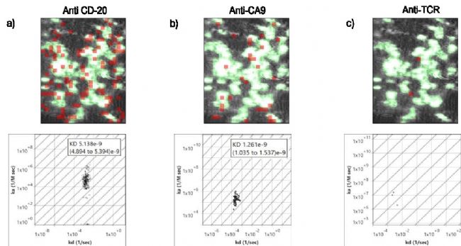 SPRM 200:生物医学研究的“超级显微镜”