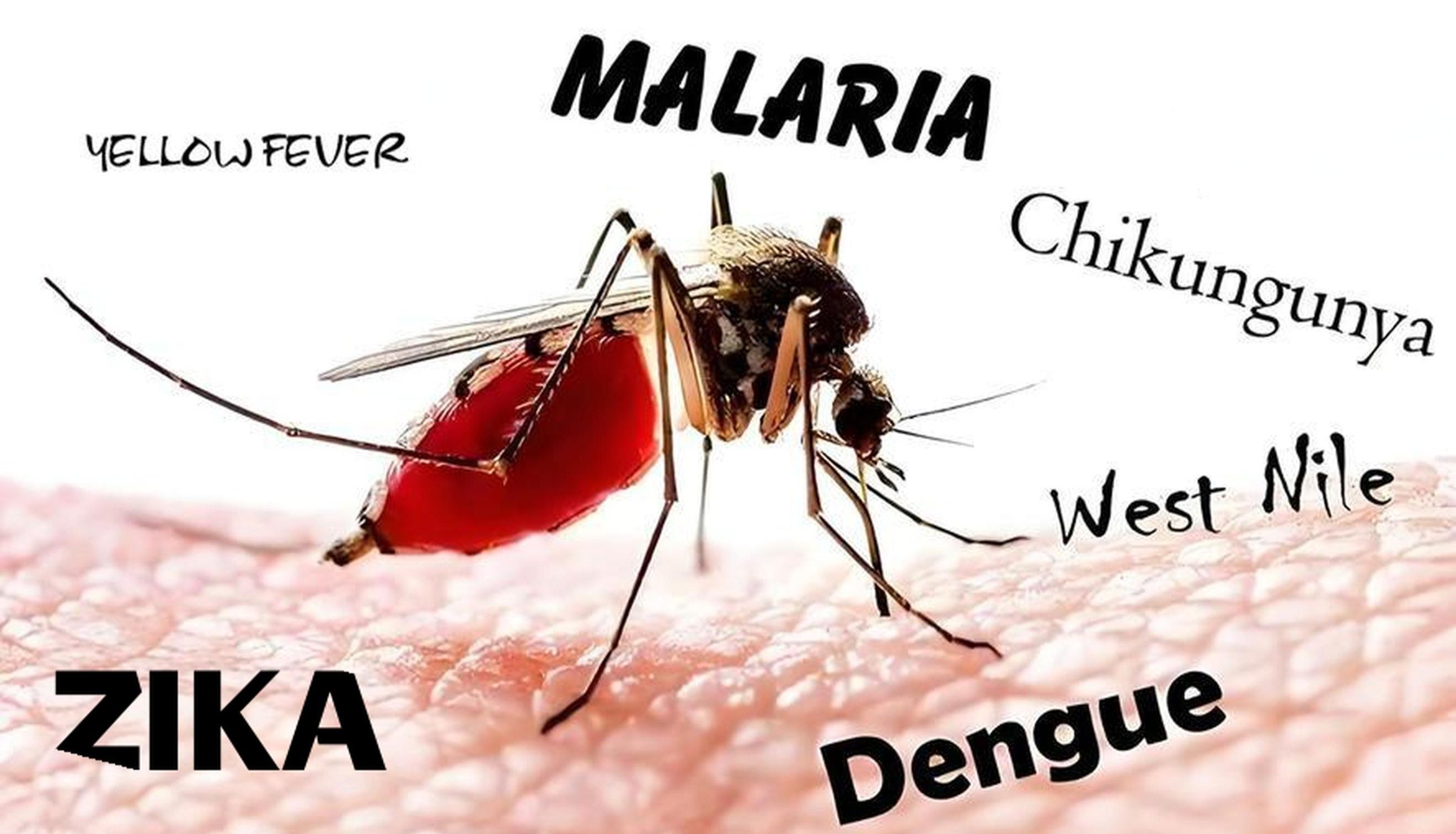 文献分享：ZeptoMetrix助力基孔肯雅病毒感染的诊断研究