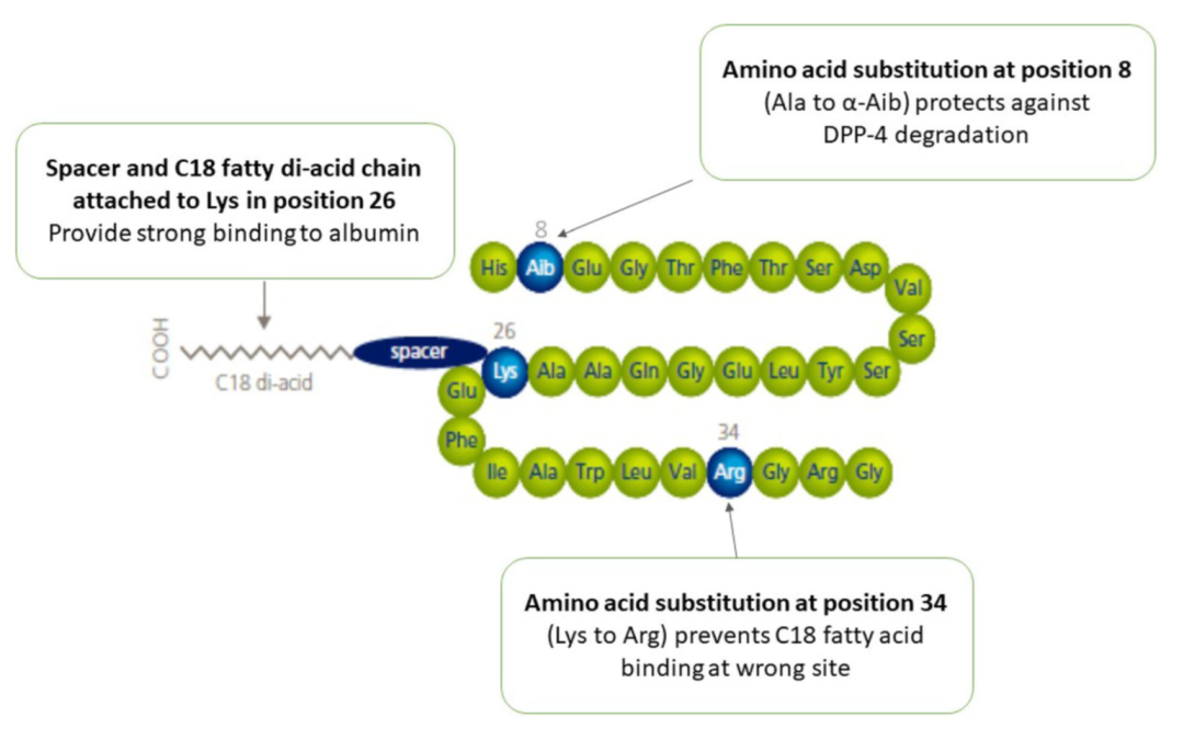 庖丁解牛｜司美格鲁肽杂质鉴定的深度探索