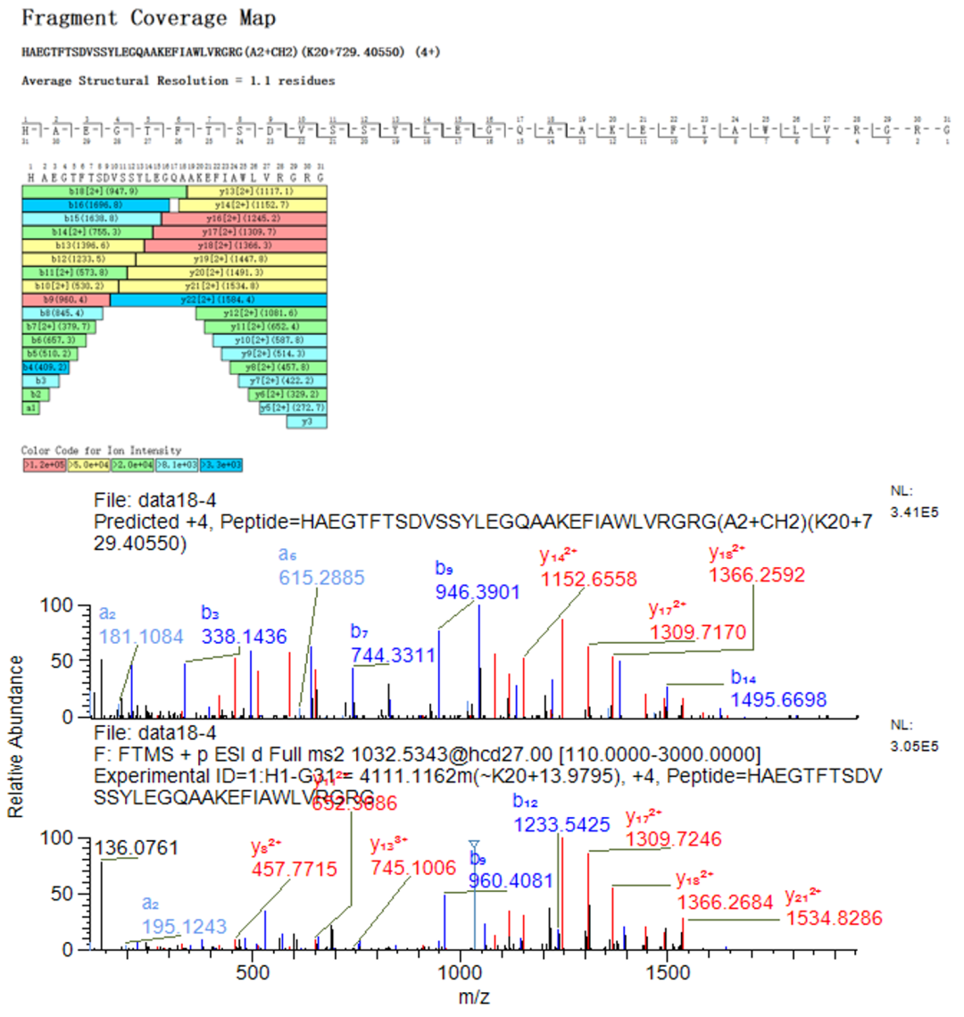 庖丁解牛｜司美格鲁肽杂质鉴定的深度探索