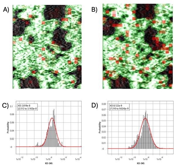 SPRM 200:生物医学研究的“超级显微镜”