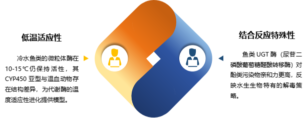 鱼微粒体 1.png 鱼微粒体 1.png