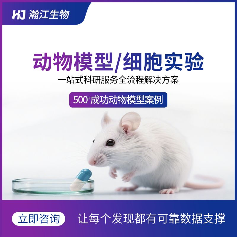 特应性皮炎动物模型