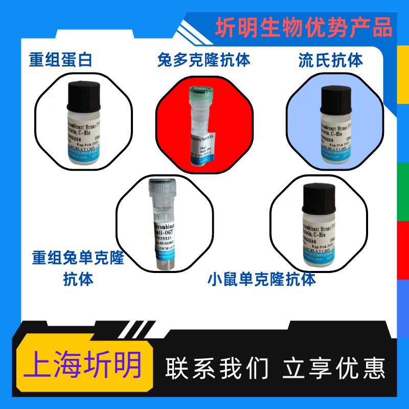 吲哚胺2,3-双加氧酶(IDO)活性蛋白,人