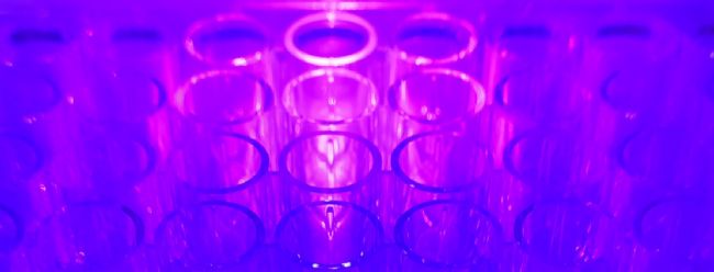 BIO ONE 光固化黑科技完整实测公开——10 秒把“软胶原”变“硬组织”