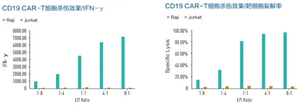 INNOVESSEL透气型悬浮细胞培养瓶 