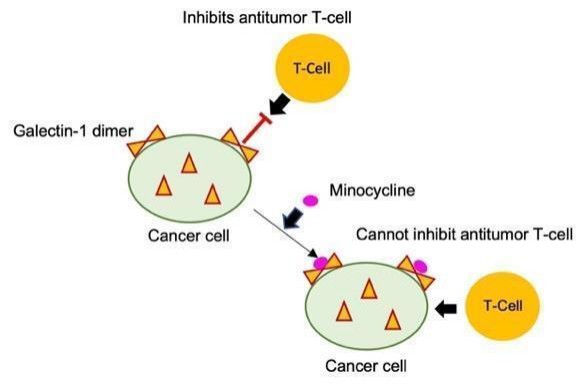 SPRM 200:生物医学研究的“超级显微镜”