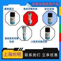 表皮生长因子(EGF)活性蛋白,人