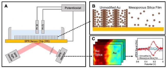 SPRM 200:生物医学研究的“超级显微镜”