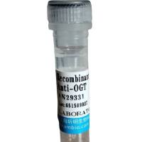 YY肽(PYY)卵白蛋白偶联物,小鼠