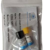 纤维蛋白肽A(FPA)卵白蛋白偶联物,大鼠