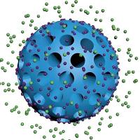 负载表没食子儿茶素没食子酸酯的介孔聚多巴胺纳米粒被壳聚糖修饰 EGCG@MPDA NPs-CS