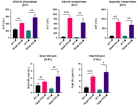 揭秘生命的“搬运工”：ABC转运蛋白家族及其疾病小鼠模型大合集