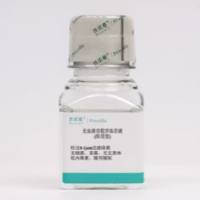 Western Blot一抗二抗洗脱液(中性)