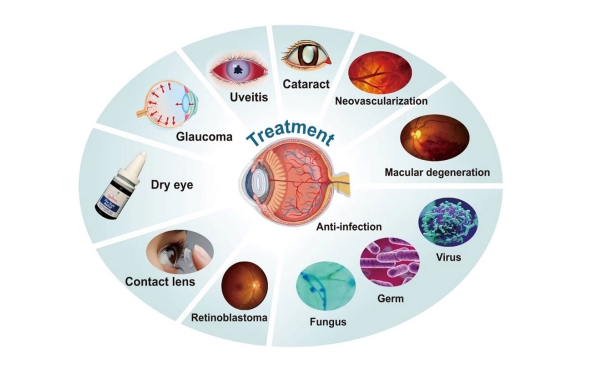 新品上架 | ANGPTL7 & NRL人源化小鼠：助力青光眼与视网膜色素变性广谱疗法研发