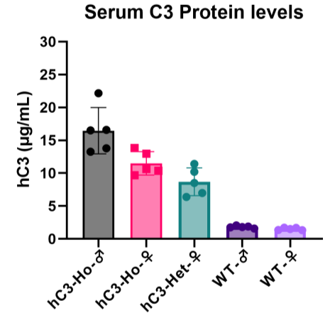 补体靶向治疗新纪元：C3/C5人源化小鼠模型助力siRNA与双抗药物研发突破