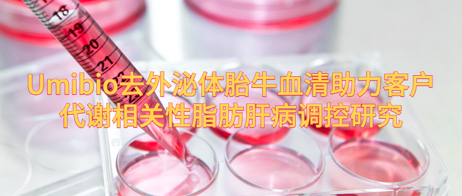 IF=33.2 | 揭示肠菌外泌体调控代谢相关性脂肪肝的机制