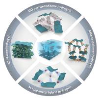 负载环孢菌素A的透明质酸水凝胶被三苯基膦修饰 Ciclosporin A@HA hydrogel-TPP