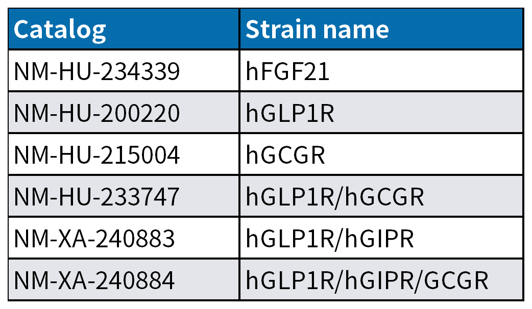全球超1亿患者！MASH药物研发进展与核心模型解析