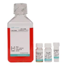 神经干细胞完全培养基NSCM