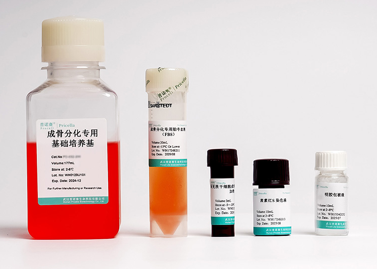 人骨髓间充质干细胞成骨诱导分化培养基：科研利器助力干细胞分化研究