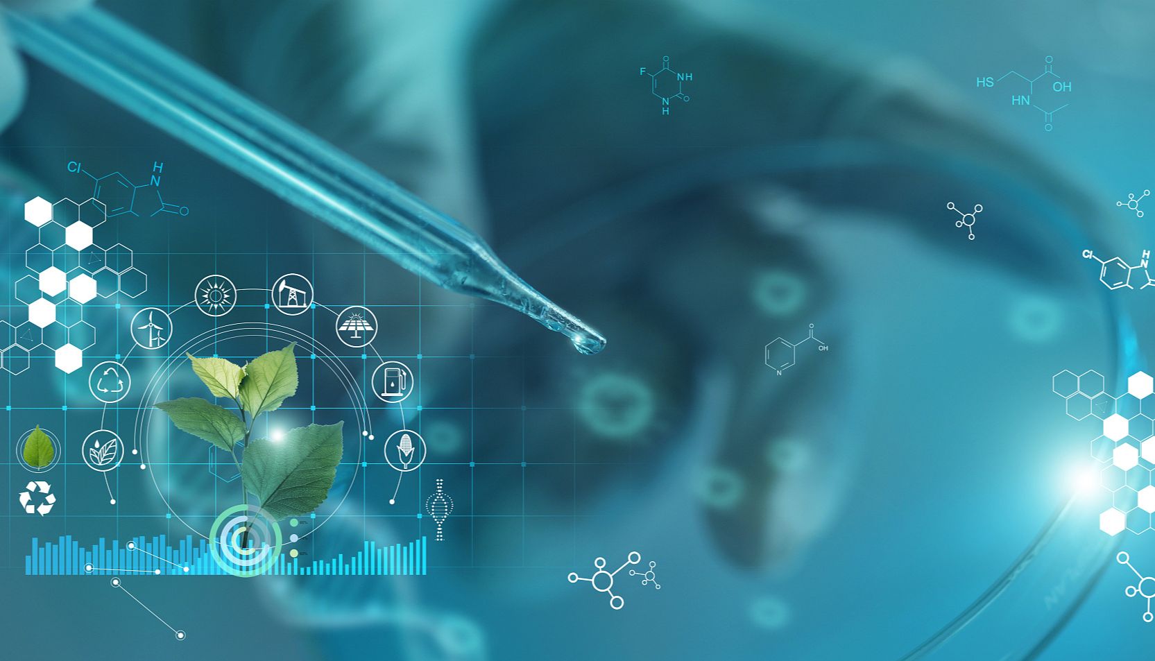 《Nature》植物苯丙氨酸衍生水杨酸生物合成的解析