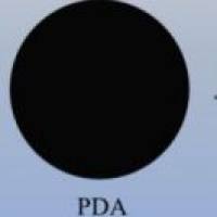 负载丹参酮IIA的聚多巴胺纳米粒 TSA@PDA NPs